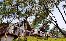 Green Forest Rustic Houses